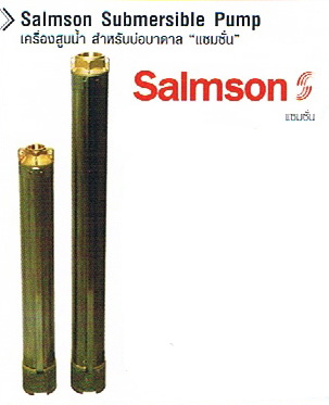 Salmson แซมซั่นเครื่องสูบน้ำสำหรับบ่อบาดาล
